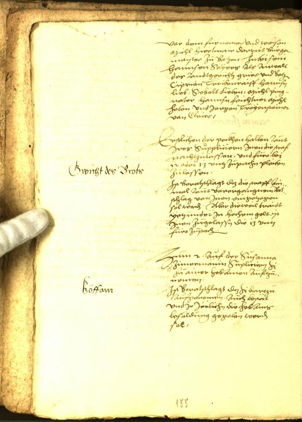 Civic Archives of Bozen-Bolzano - BOhisto Minutes of the council 1556 