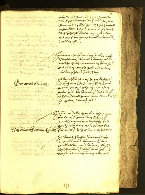 Civic Archives of Bozen-Bolzano - BOhisto Minutes of the council 1556 