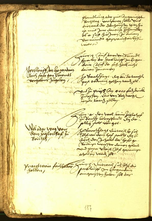 Stadtarchiv Bozen - BOhisto Ratsprotokoll 1556 