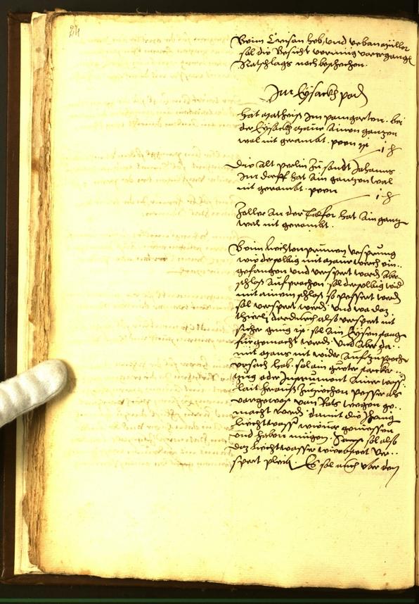 Civic Archives of Bozen-Bolzano - BOhisto Minutes of the council 1560 