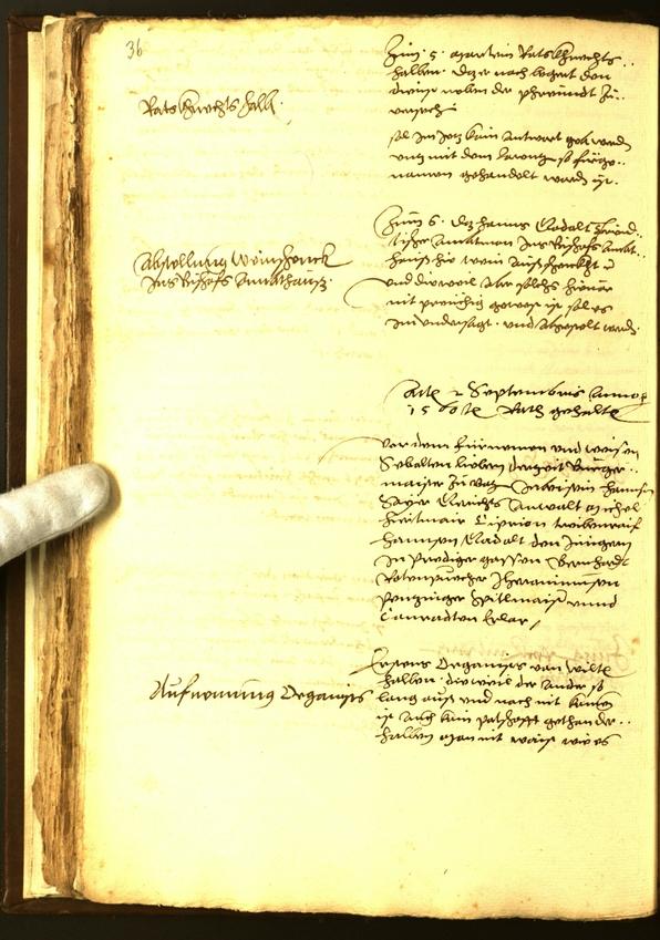 Civic Archives of Bozen-Bolzano - BOhisto Minutes of the council 1560 