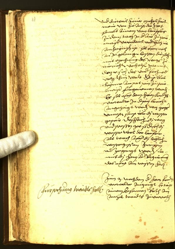 Civic Archives of Bozen-Bolzano - BOhisto Minutes of the council 1560 