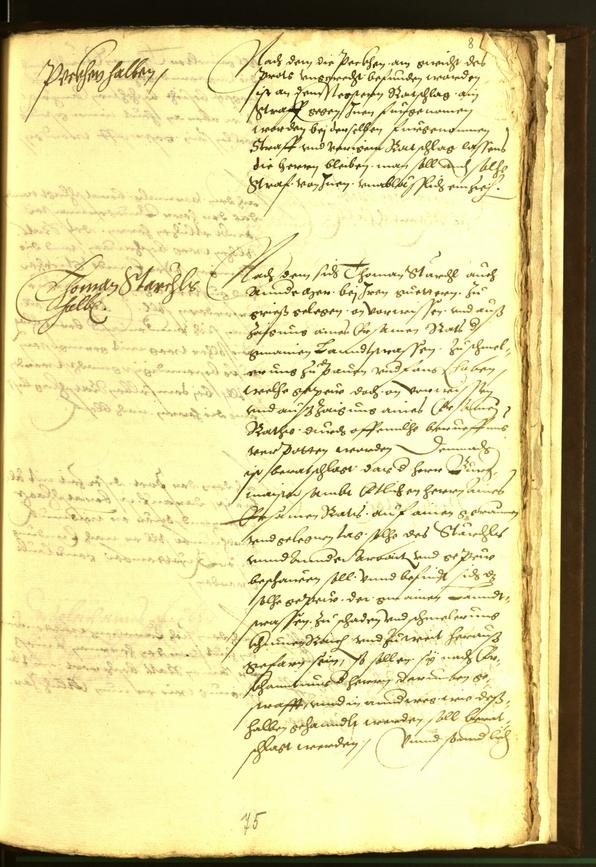 Civic Archives of Bozen-Bolzano - BOhisto Minutes of the council 1562 