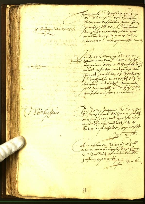 Civic Archives of Bozen-Bolzano - BOhisto Minutes of the council 1562 