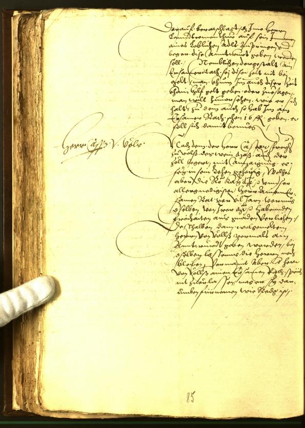 Civic Archives of Bozen-Bolzano - BOhisto Minutes of the council 1562 