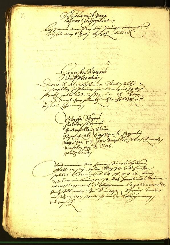 Civic Archives of Bozen-Bolzano - BOhisto Minutes of the council 1563 