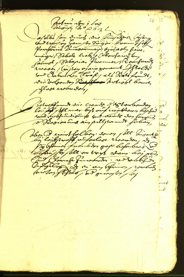 Civic Archives of Bozen-Bolzano - BOhisto Minutes of the council 1563 