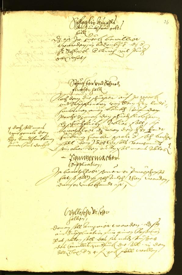 Civic Archives of Bozen-Bolzano - BOhisto Minutes of the council 1563 