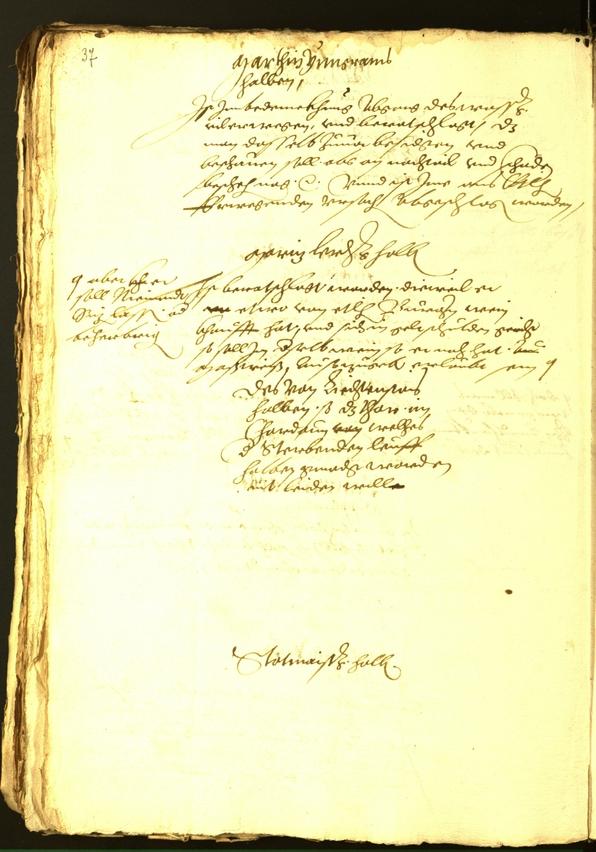 Civic Archives of Bozen-Bolzano - BOhisto Minutes of the council 1563 