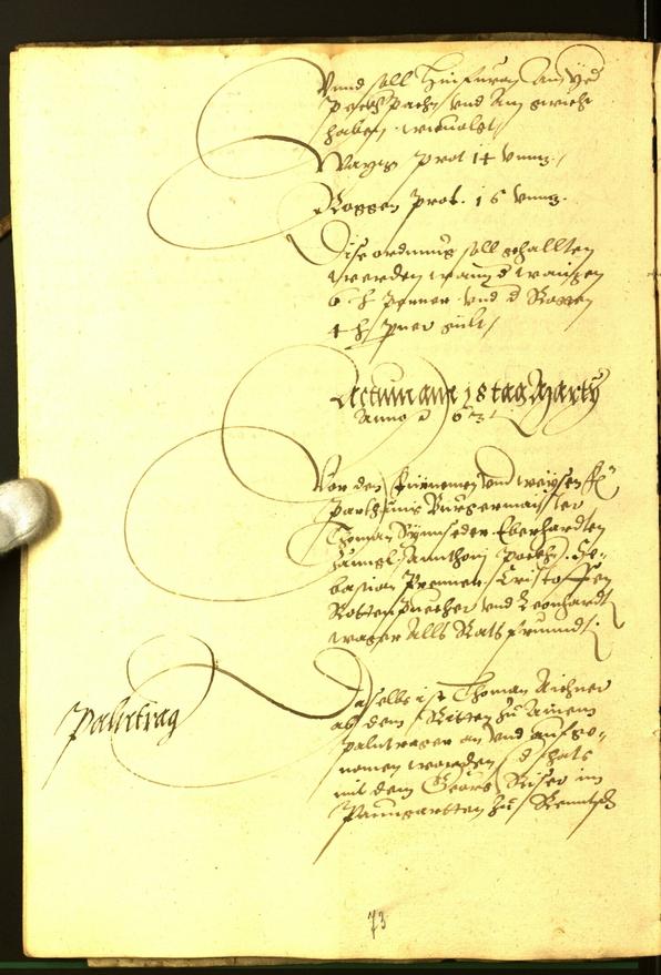 Civic Archives of Bozen-Bolzano - BOhisto Minutes of the council 1563 