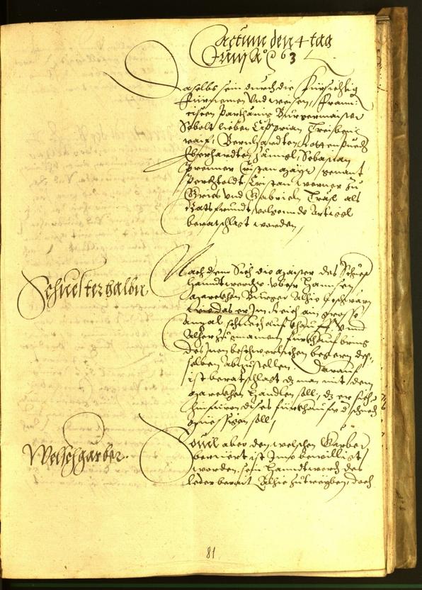 Civic Archives of Bozen-Bolzano - BOhisto Minutes of the council 1563 