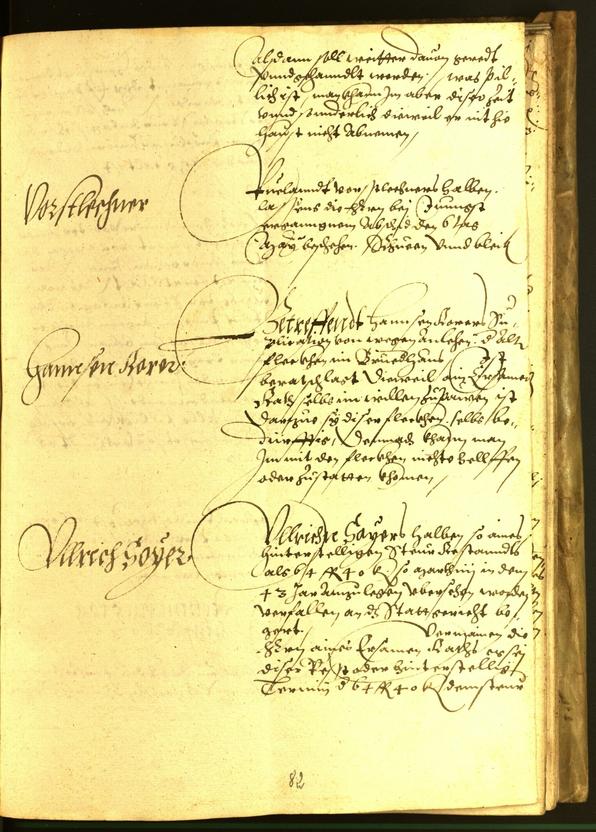 Stadtarchiv Bozen - BOhisto Ratsprotokoll 1563 