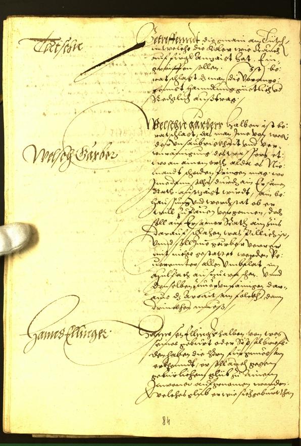 Stadtarchiv Bozen - BOhisto Ratsprotokoll 1563 