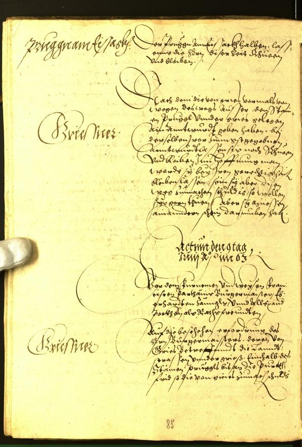 Stadtarchiv Bozen - BOhisto Ratsprotokoll 1563 