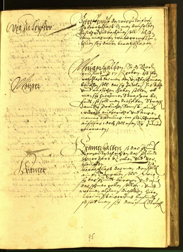 Civic Archives of Bozen-Bolzano - BOhisto Minutes of the council 1563 