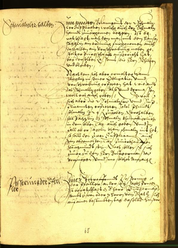 Civic Archives of Bozen-Bolzano - BOhisto Minutes of the council 1563 