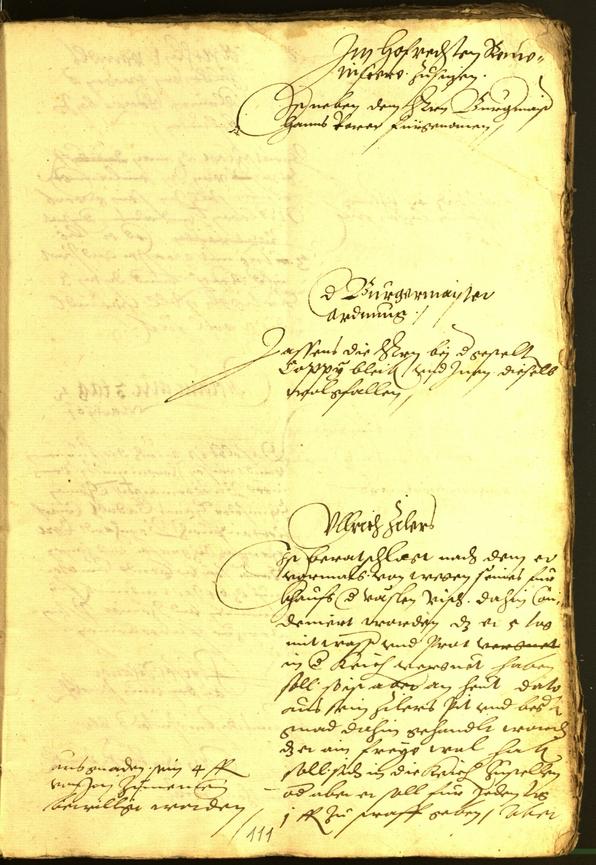 Civic Archives of Bozen-Bolzano - BOhisto Minutes of the council 1564 