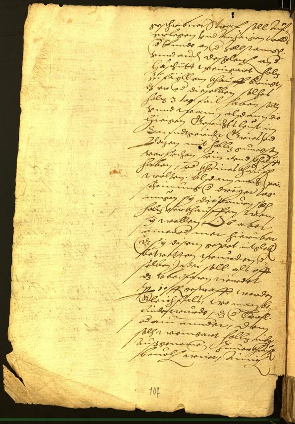 Stadtarchiv Bozen - BOhisto Ratsprotokoll 1564 