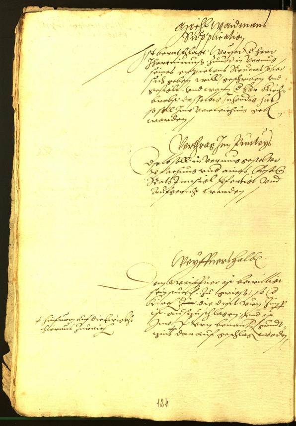 Civic Archives of Bozen-Bolzano - BOhisto Minutes of the council 1564 