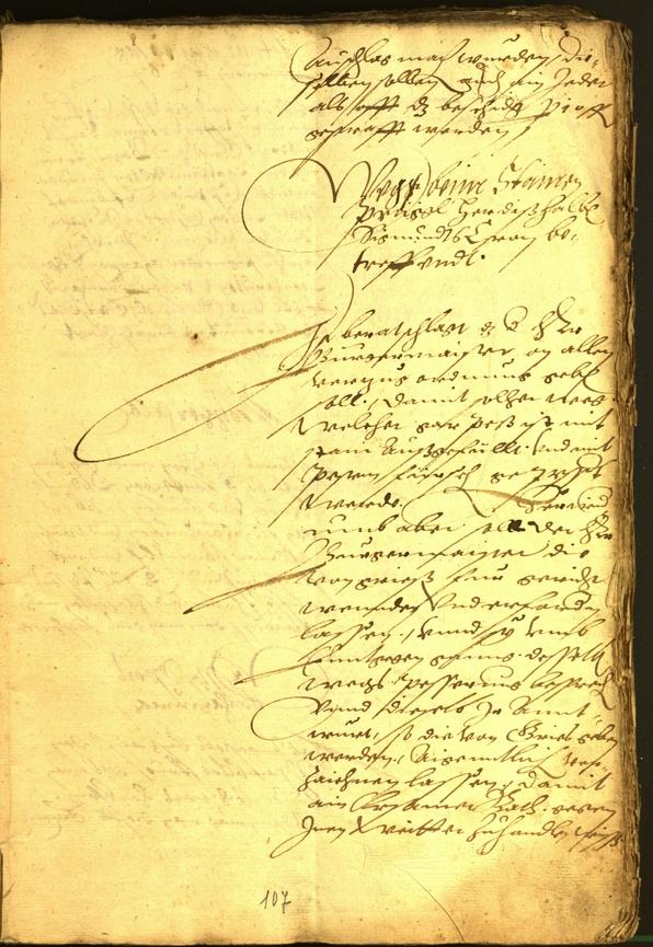 Archivio Storico della Città di Bolzano - BOhisto protocollo consiliare 1564 