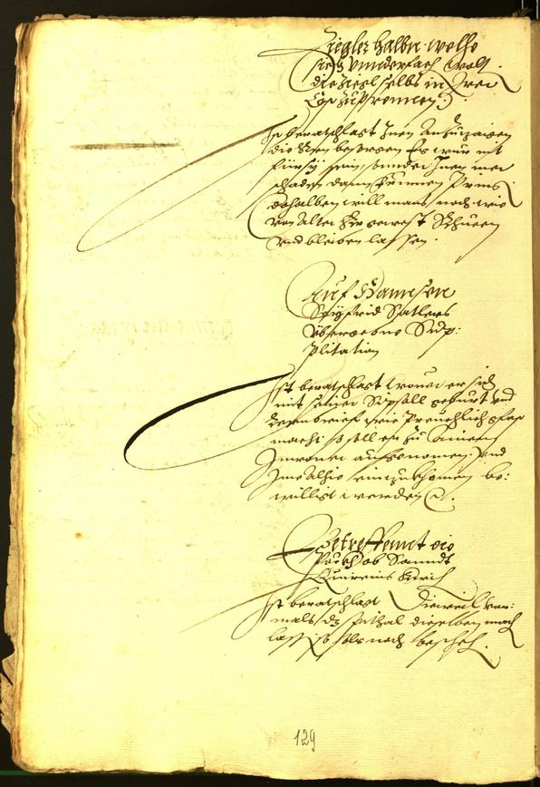 Civic Archives of Bozen-Bolzano - BOhisto Minutes of the council 1564 