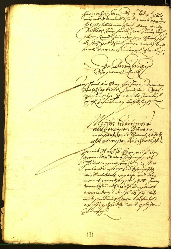 Archivio Storico della Città di Bolzano - BOhisto protocollo consiliare 1564 