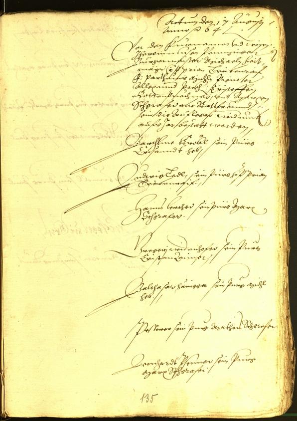 Archivio Storico della Città di Bolzano - BOhisto protocollo consiliare 1564 