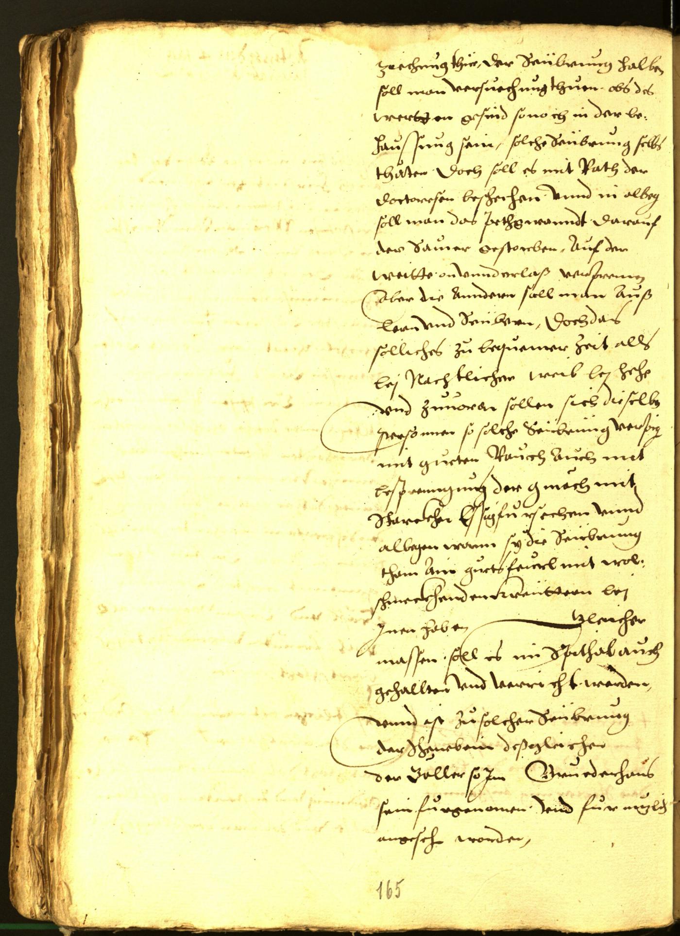 Civic Archives of Bozen-Bolzano - BOhisto Minutes of the council 1564 