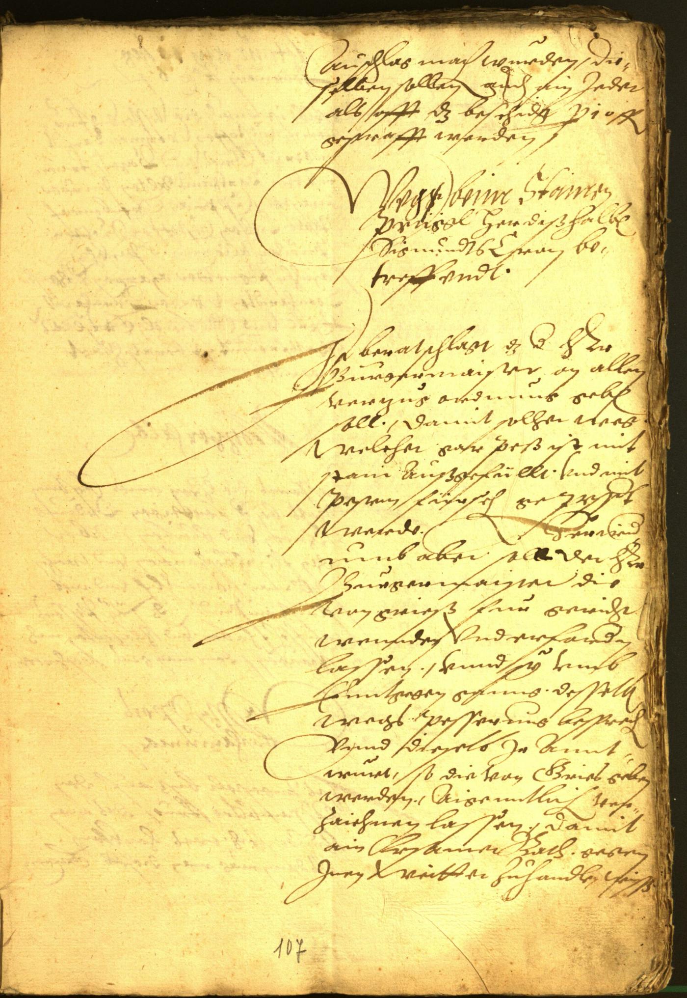 Civic Archives of Bozen-Bolzano - BOhisto Minutes of the council 1564 