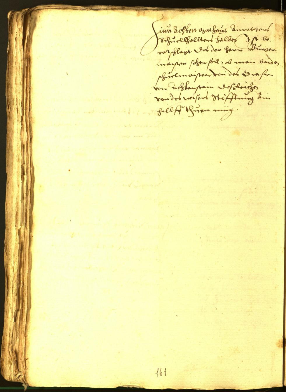 Civic Archives of Bozen-Bolzano - BOhisto Minutes of the council 1564 