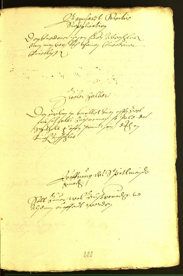 Civic Archives of Bozen-Bolzano - BOhisto Minutes of the council 1565 