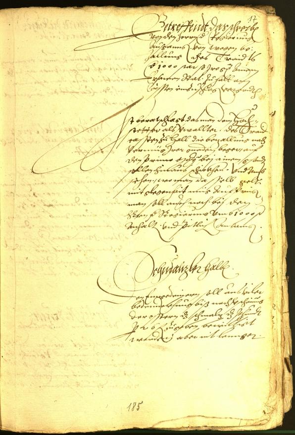 Civic Archives of Bozen-Bolzano - BOhisto Minutes of the council 1565 