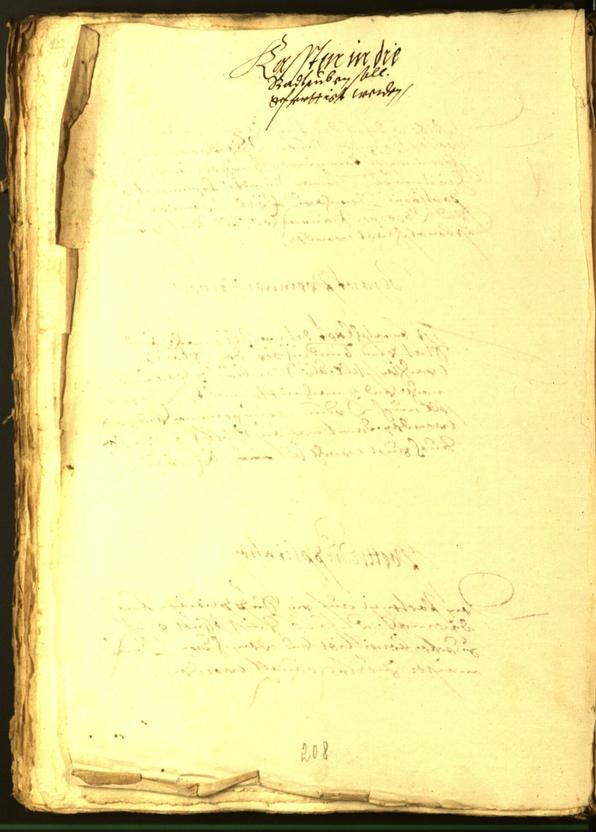 Civic Archives of Bozen-Bolzano - BOhisto Minutes of the council 1565 