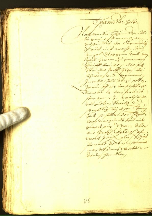 Archivio Storico della Città di Bolzano - BOhisto protocollo consiliare 1565 