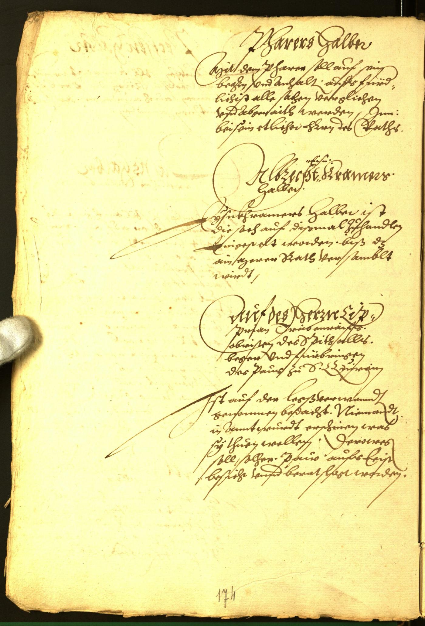 Archivio Storico della Città di Bolzano - BOhisto protocollo consiliare 1565 