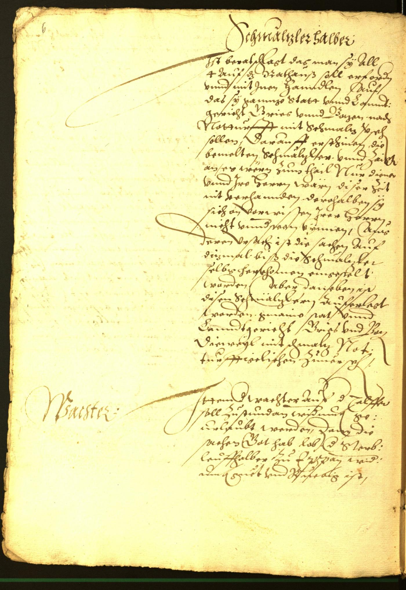 Archivio Storico della Città di Bolzano - BOhisto protocollo consiliare 1566 