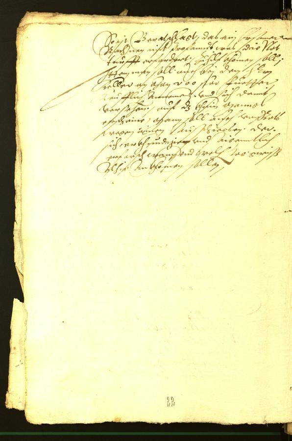 Civic Archives of Bozen-Bolzano - BOhisto Minutes of the council 1566 