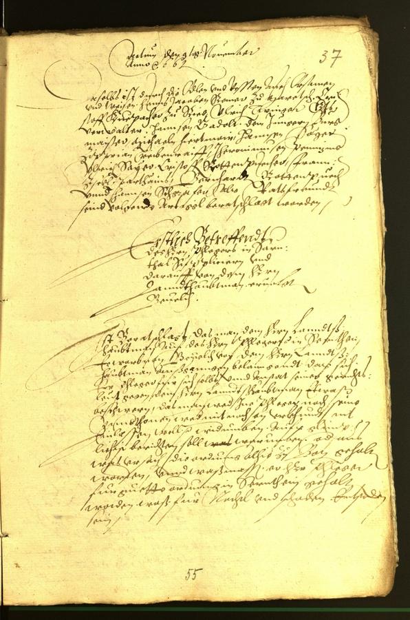 Stadtarchiv Bozen - BOhisto Ratsprotokoll 1566 