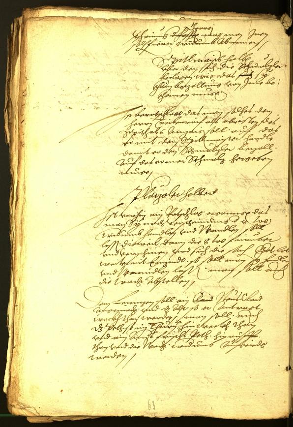 Civic Archives of Bozen-Bolzano - BOhisto Minutes of the council 1566 