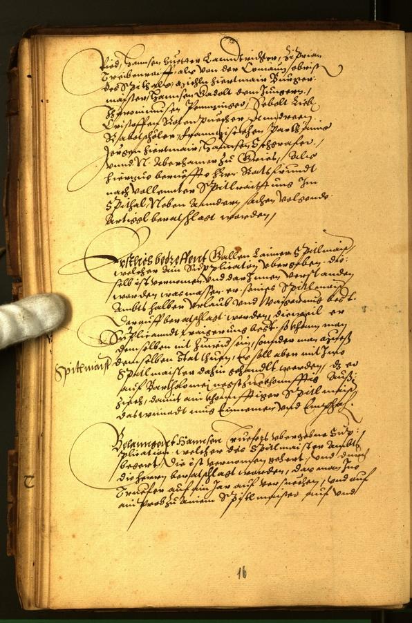 Civic Archives of Bozen-Bolzano - BOhisto Minutes of the council 1567 