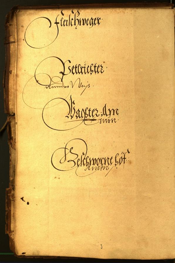 Civic Archives of Bozen-Bolzano - BOhisto Minutes of the council 1567 