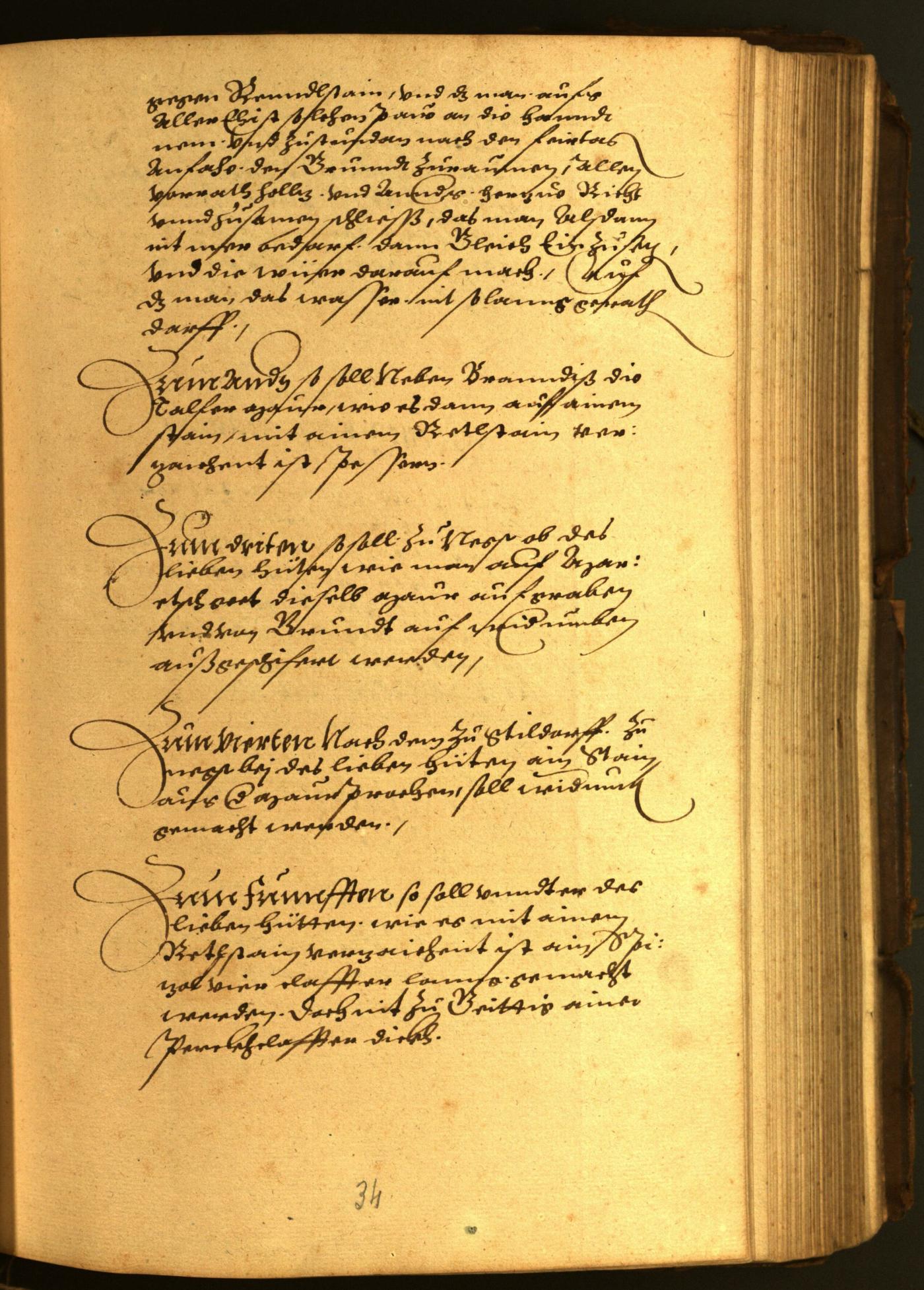 Civic Archives of Bozen-Bolzano - BOhisto Minutes of the council 1567 