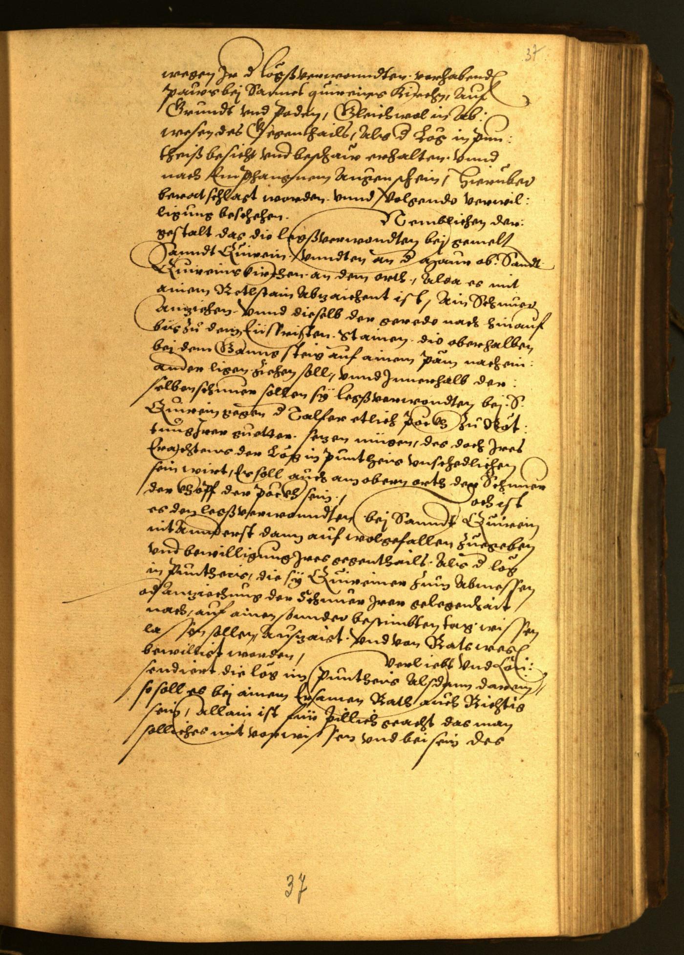 Civic Archives of Bozen-Bolzano - BOhisto Minutes of the council 1567 