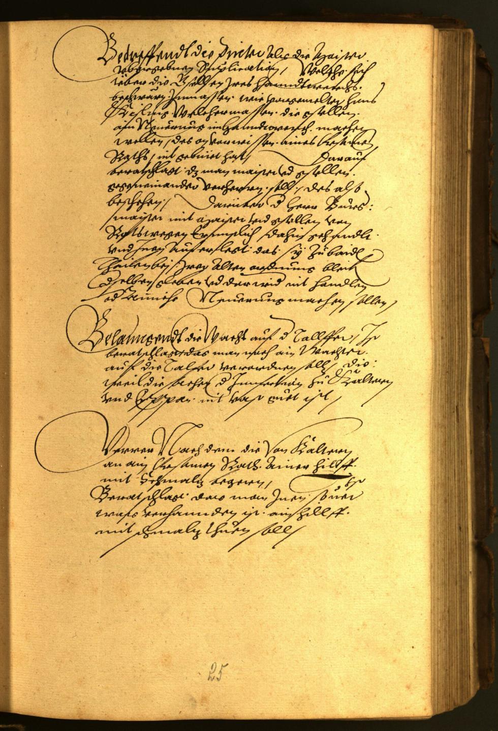 Civic Archives of Bozen-Bolzano - BOhisto Minutes of the council 1567 