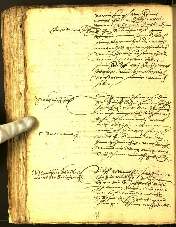 Civic Archives of Bozen-Bolzano - BOhisto Minutes of the council 1572 