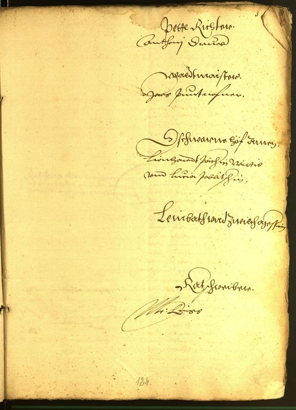 Civic Archives of Bozen-Bolzano - BOhisto Minutes of the council 1572 