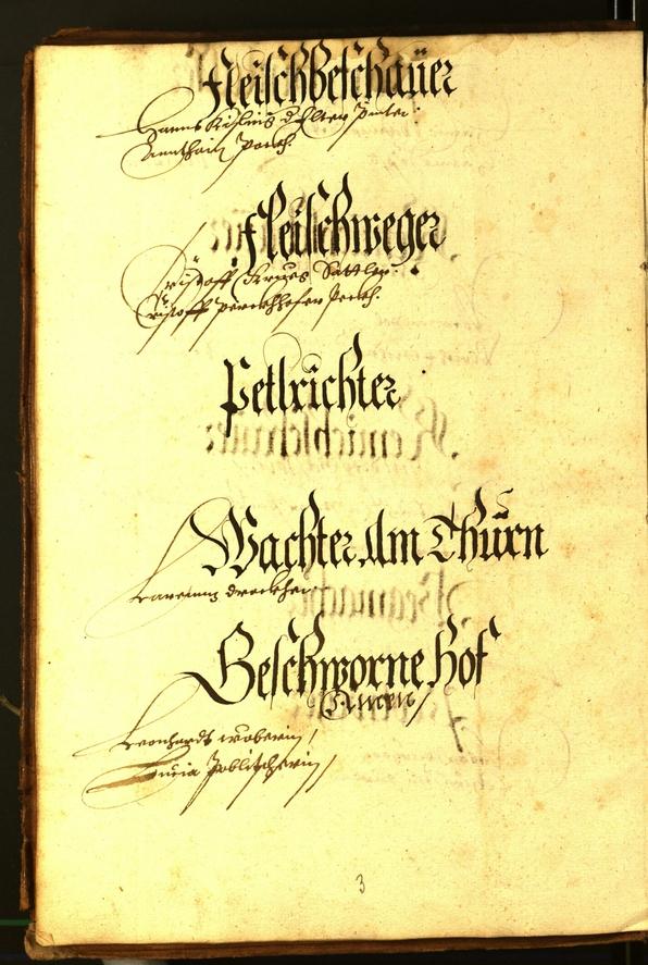 Stadtarchiv Bozen - BOhisto Ratsprotokoll 1568/69 