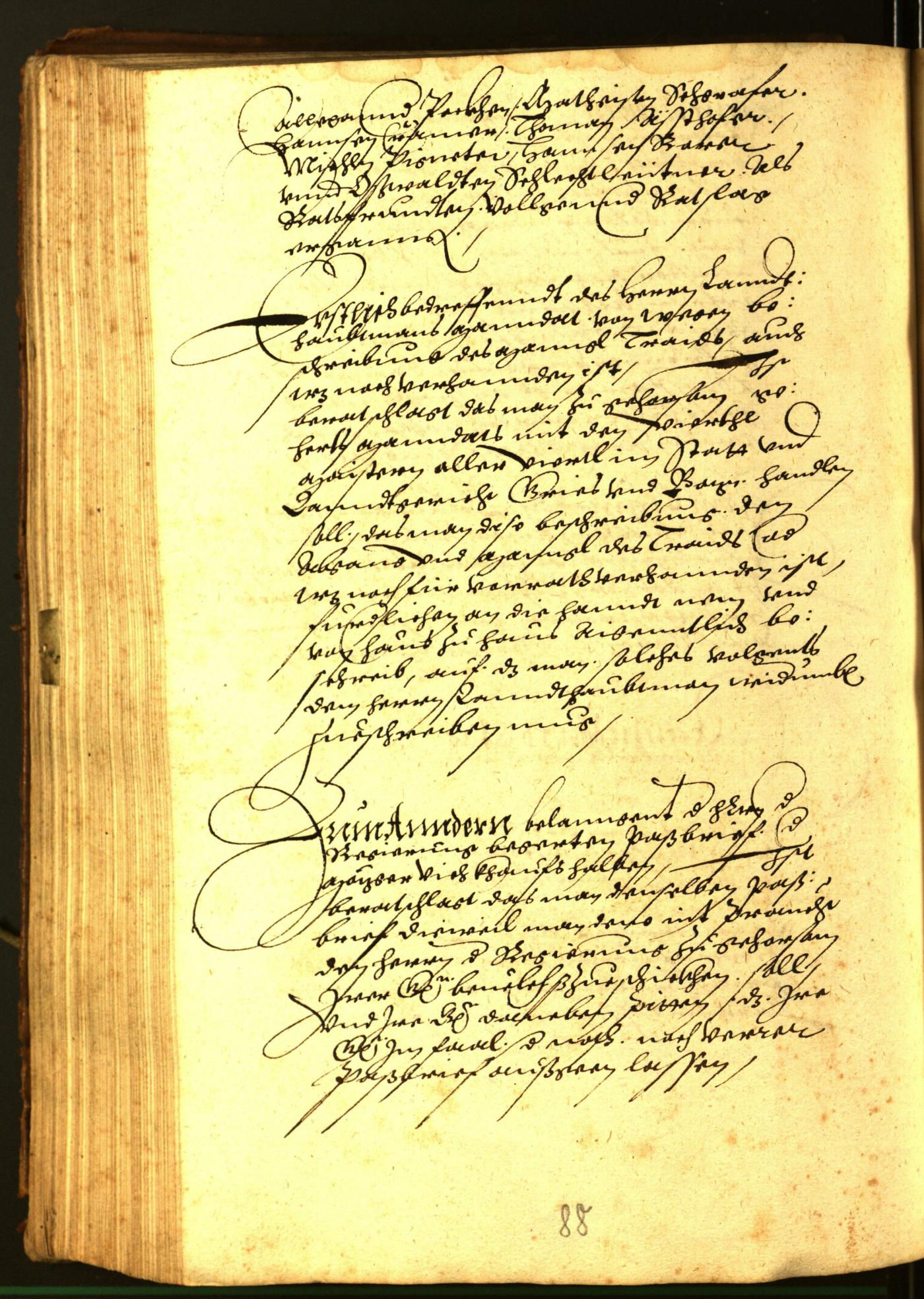 Stadtarchiv Bozen - BOhisto Ratsprotokoll 1569 