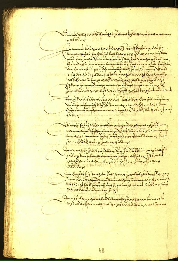 Civic Archives of Bozen-Bolzano - BOhisto Minutes of the council 1573 