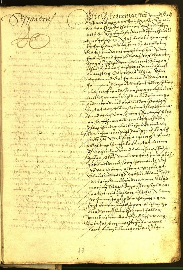 Civic Archives of Bozen-Bolzano - BOhisto Minutes of the council 1573 